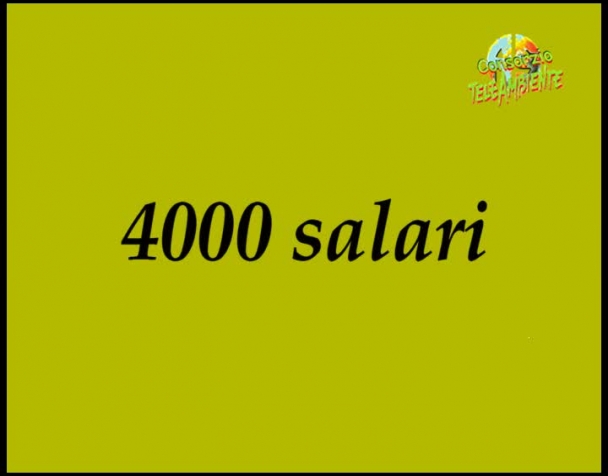 4000-salari