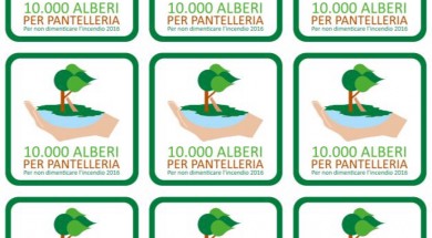 10.000 alberi per pantelleria