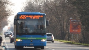 PAULLO Bus