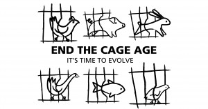 logo end of cage