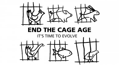 logo end of cage