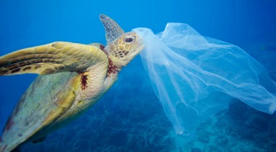 liberiamo il meditarraneo dalla plastica